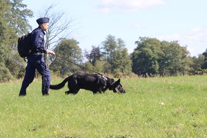 Policjant z psem podczas Mistrzostw.