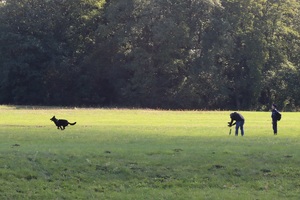 Policjanci z psami podczas Mistrzostw.