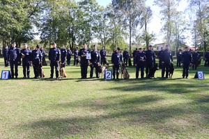 Policjanci z psami podczas Mistrzostw.