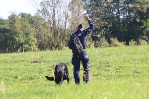 przewodnik z psem służbowym podczas zawodów