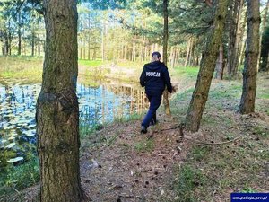 Poszukiwania 83-letniej grzybiarki.