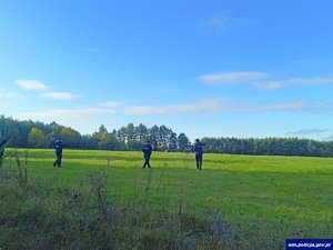 Poszukiwania 83-letniej grzybiarki.