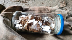 Na zdjęciu w słoiku biżuteria koloru żółtego.