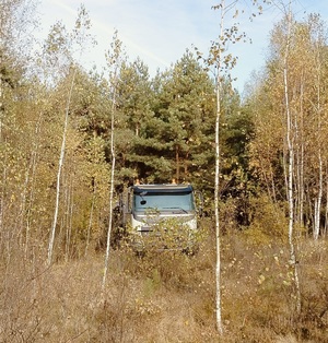 Samochód ciężarowy w zaroślach.