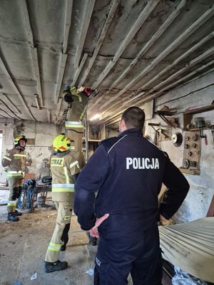 Strażacy wchodzą na strych, obok stoi policjant.