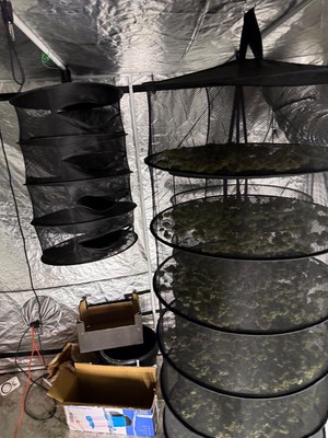 narkotyki w siatkach.