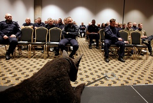 pies leży na scenie. w tle siedzą policjanci.
