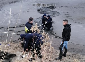Policjanci i strażacy wyciągają kobietę ze stawu.