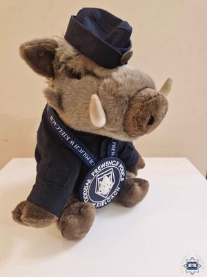 Maskotka dzik - Kiełek.