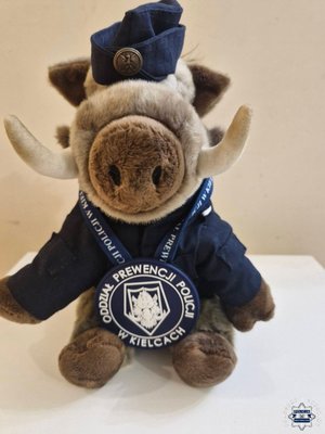 Maskotka dzik - Kiełek.