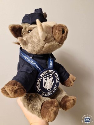 Maskotka dzik - Kiełek.