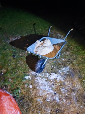 zabezpieczone narkotyki w postaci białego proszku leżą w taczce.