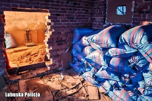 Krajanka tytoniu w pomieszczeniu, w drugim krajanka w workach.