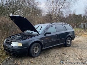 Samochód z otwartą maską stoi obok zarośli.