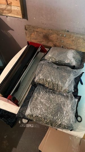 widać wagę, narkotyki w woreczku foliowym i zgrzewnicę. białe kryształki w worku foliowym, następnie dłoń w gumowej rękawiczce przekłada worki z marihuaną w kartonie. radiowóz, policjanta, który zakłada kajdanki zatrzymanemu, który leży na ziemi, następnie widok na pomieszczenie, w którym są paczki i worki z narkotykami, leżący luźno susz i półki na których są różne przedmioty. W pomieszczeniu panuje rozgardiasz.