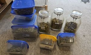marihuana w pudełkach i słoikach