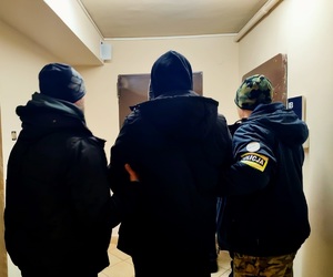 Dwaj ubrani po cywilnemu policjanci prowadzą zatrzymanego - widok z tyłu.