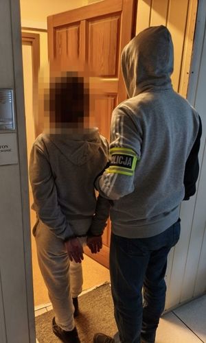 zatrzymanie, policja prowadzi sprawcę.