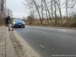 w rowie leży rower. tuż obok drogi, na której stoi radiowóz.