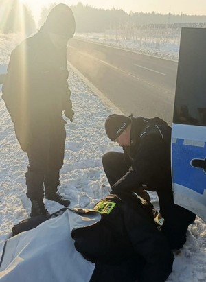 Policjanci przy przymarzniętym do pobocza psie.