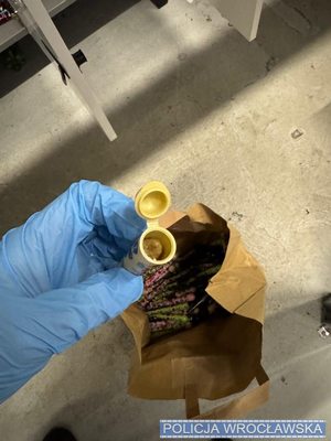 Trzymane w dłoni opakowanie ze środkiem odurzającym.