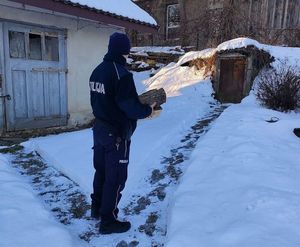 Policjant niesie drzewno opałowe.