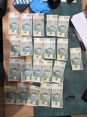 Włamywacz na monitoringu.