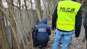 Policjanci prowadzę oględziny miejsca przestępstwa.