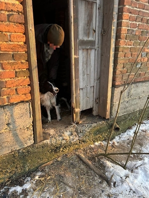 Na zdjęciu w drzwiach budynku mężczyzna z psem.