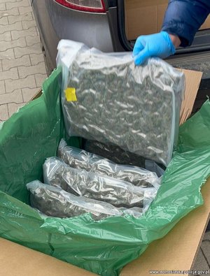 Zabezpieczone narkotyki w foliowych workach w kartonie.