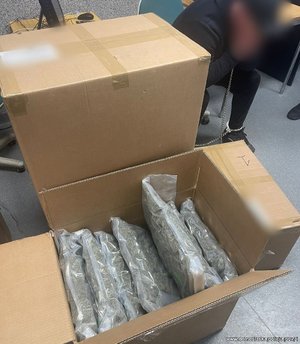 Zabezpieczone narkotyki w foliowych workach w kartonie.