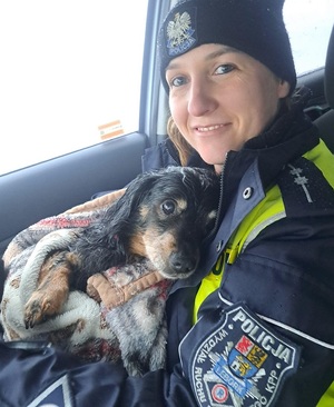Policjantka siedząca w radiowozie trzyma uratowanego psa.