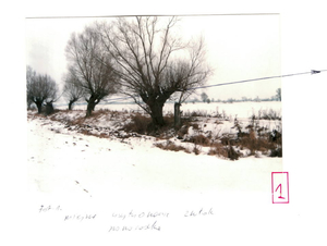 Miejsce usytuowania zwłok noworodka.