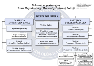 Schemat organizacyjny Biura Kryminalnego KGP