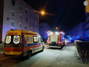 Pojazdy służb na miejscu zdarzenia.