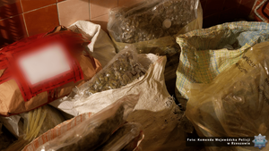 Zabezpieczone narkotyki.