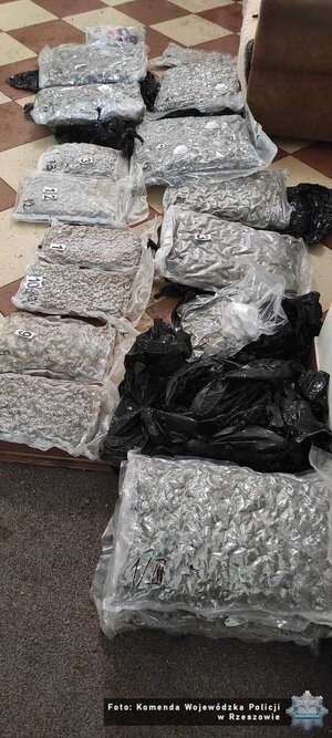 Zabezpieczone narkotyki.