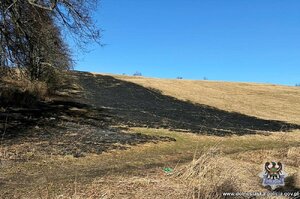 Częściowo spalona łąka.