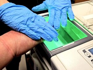 dłonie w trakcie pobierania śladów daktyloskopijnych.