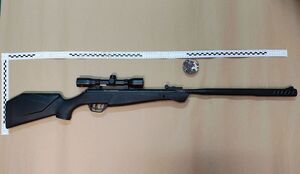 wiatrówka z amunicją rozłożone na stole.