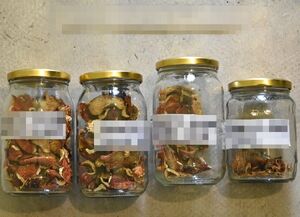 rozłożone narkotyki w torebkach. W szklanych słoikach widać grzyby suszone.