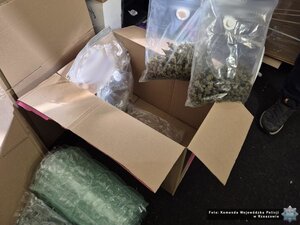 narkotyki, susz konopi indyjskich. Narkotyki zapakowane w worki. Leżą w pudełkach. Tort i galaretki.