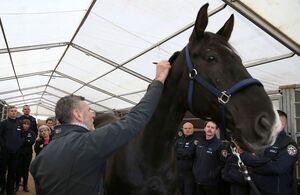 Mężczyzna stoi przy koniu, a wokół niego zebrani uczestnicy szkolenia.