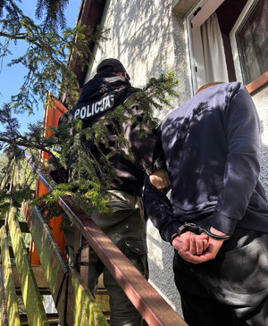 Policjant z zatrzymanym podczas eksperymentu procesowego.