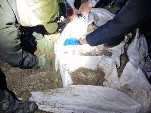 papierosy w kartonach, opakowania, folie.