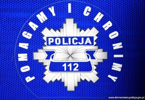 Logo Pomagamy i chronimy na granatowym tle.