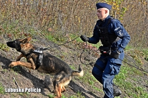 policjant biegnie z psem.