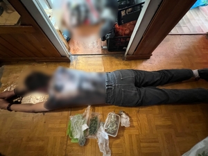 Zatrzymany mężczyzna zakuty w kajdanki leży na podłodze. Obok niego plastikowe przezroczyste pojemniki z suszem konopi.