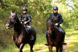 dwóch policjantów na dwóch koniach jedzie przez las.