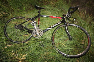 Rower leżący w zaroślach.